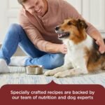Rachael Ray Nutrish Real Beef, Pea and Brown Rice Recipe Dry Dog Food - Image 6
