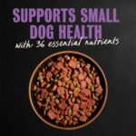 Cesar Filet Mignon Flavor Small Breed Dry Dog Food - Image 2