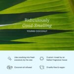 Cocolab Cocofloss Woven Expanding Dental Floss Refill - Young Coconut - 33yd/2pk - Image 4