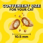 Temptations Cheese, Chicken and Catnip Flavor Mix-Ups Crunchy Treats Cat Treats - Image 5