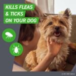 Frontline Plus Flea and Tick Treatment for Dogs - 3 doses - Image 3