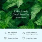 Cocolab Cocofloss Refillable Woven Expanding Dental Floss Refills - Delightful Mint - 33yd/2pk - Image 4