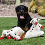 Multipet 10.5" Lamb Chop Interactive Plush Dog Toy - Image 4