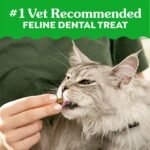 Greenies Savory Salmon Flavor Dental Cat Treats - Image 4