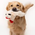 Multipet 10.5" Lamb Chop Interactive Plush Dog Toy - Image 5