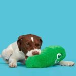 BARK Big Dill Bill Pickle Dog Toy - Green - Image 4