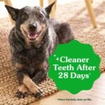 Greenies Large Chewy Dental Dog Treats Original Chicken - 12oz/8ct - Image 5