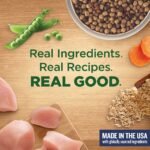 Rachael Ray Nutrish Real Chicken and Vegetable Recipe Dry Dog Food - Image 6