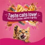 Purina Friskies Gravy Swirlers with Flavors of Chicken, Salmon & Gravy Adult Complete & Balanced Dry Cat Food - Image 3