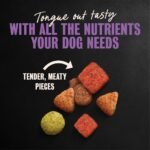 Cesar Filet Mignon Flavor Small Breed Dry Dog Food - Image 5