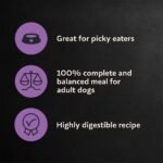 Cesar Filet Mignon Flavor Small Breed Dry Dog Food - Image 6