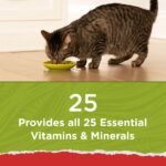 Purina Cat Chow Naturals Original Chicken Flavor Dry Cat Food - Image 3