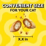 Temptations Classic Tasty Chicken Flavor Crunchy Cat Treats - 6.3oz - Image 4