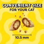 Temptations Classic Savory Seafood and Salmon Flavor Crunchy Cat Treats - 6.3oz - Image 4