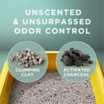 Purina Tidy Cats Free & Clean Unscented Clumping Scoop Cat & Kitty Litter for Multiple Cats - Image 3
