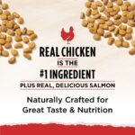 Purina Cat Chow Naturals Original Chicken Flavor Dry Cat Food - Image 6
