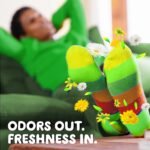 Gain flings! Original 3 in 1 Oxi & Febreze HE Deep Cleaning Concentrated Laundry Detergent Pods - Image 3