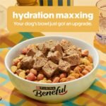 Purina Beneful Healthy Weight Real Chicken Flavor Dry Dog Food - Image 2