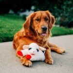 Multipet 10.5" Lamb Chop Interactive Plush Dog Toy - Image 2