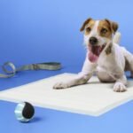 Dog Training Pads - L - up&up™ - Image 2