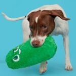BARK Big Dill Bill Pickle Dog Toy - Green - Image 3