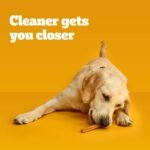 Pedigree Dentastix Dental Dog Treats with Original Chicken for Large Dog - 40ct - Image 5