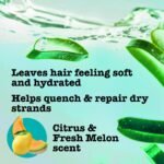Maui Moisture Heal & Hydrate + Shea Butter Conditioner to Repair & Deeply Moisturize Tight Curly Hair - 13 fl oz - Image 5