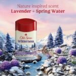 Old Spice Men's Wilderness with Lavender Antiperspirant & Deodorant - 2.6oz - Image 4