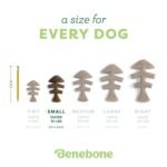 Benebone Fish Dog Bone Chew Toy - Image 4