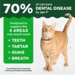 Greenies Catnip Flavor Dental Cat Treats - Image 5