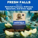 DR. SQUATCH Men's All Natural Bar Soap - Fresh Falls - Clean Breeze Scent - 5oz - Image 3